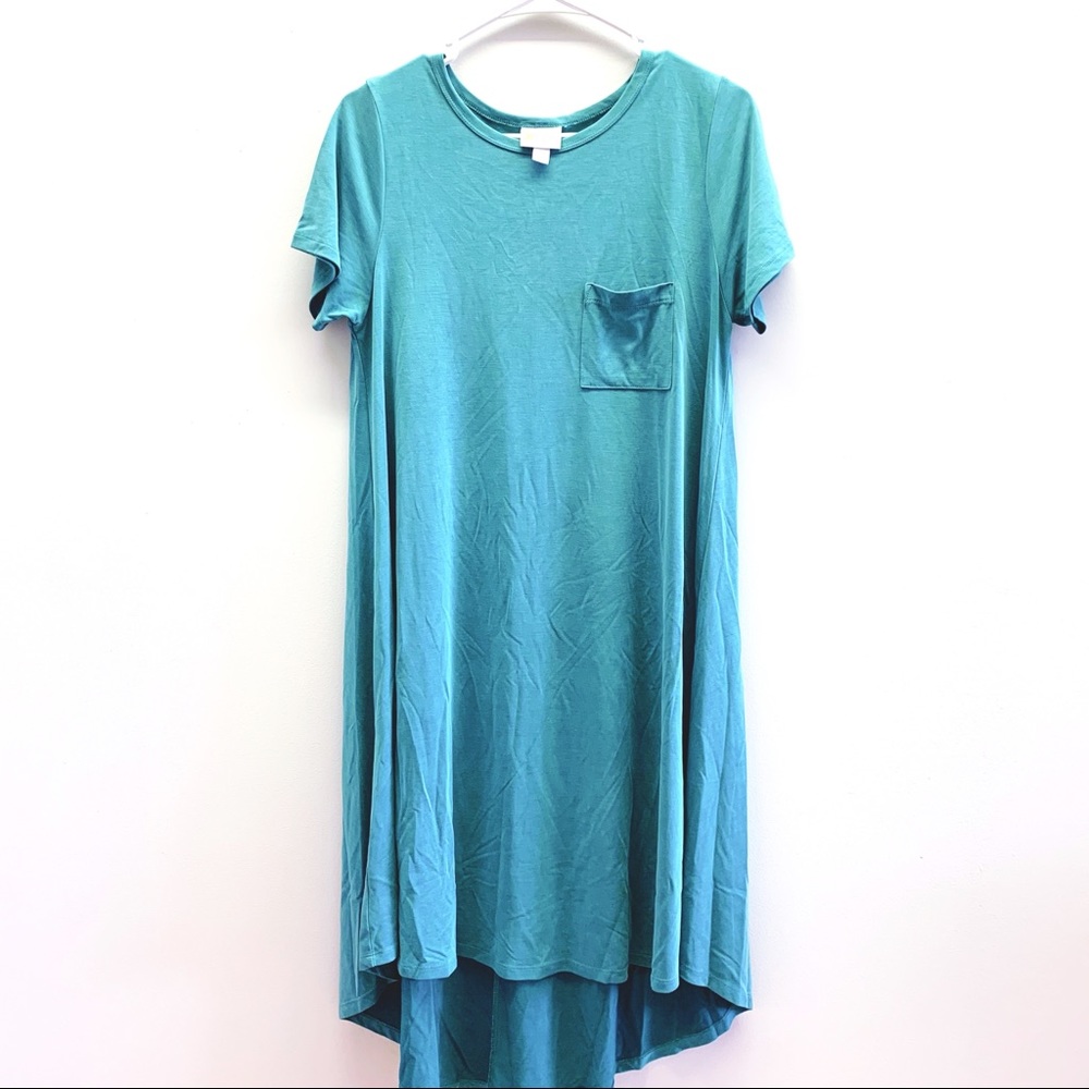 LuLaRoe Carly Swing Dress